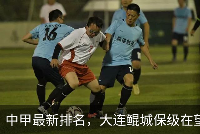 中甲最新排名，大连鲲城保级在望，广州豹放水？南通有望重回中超