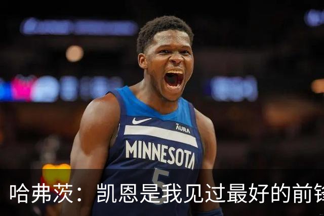 哈弗茨：凯恩是我见过最好的前锋之一；谁进球并不重要