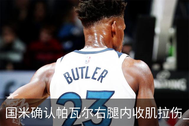 国米确认帕瓦尔右腿内收肌拉伤 预计缺阵约20天