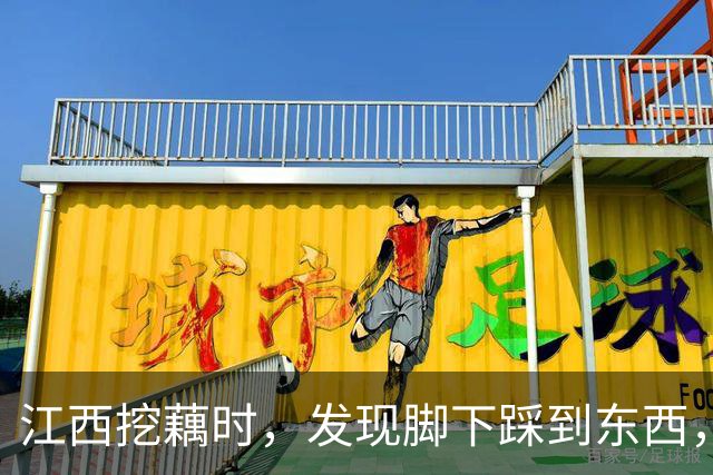 江西挖藕时，发现脚下踩到东西，众人合力将其挖出后全都傻眼
