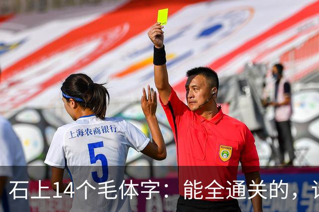 石上14个毛体字：能全通关的，请留步指点。认草书时，一个转折为什么会影响字的判断？