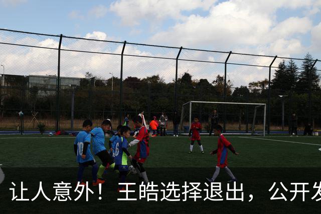 让人意外！王皓选择退出，公开发声回应，乒协批准这项意外决定