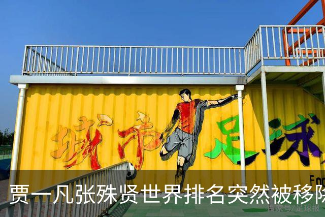 贾一凡/张殊贤世界排名突然被移除，26岁张殊贤退役传闻并非空穴来风