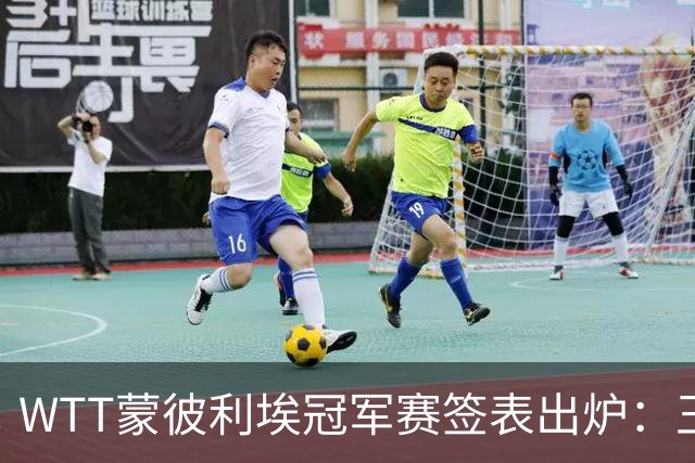 WTT蒙彼利埃冠军赛签表出炉：王曼昱首轮对阵汉娜·高达，孙颖莎对阵卢茨，林诗栋将战林钟勋